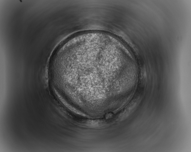 X0000094821364200712071237