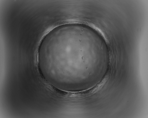 X0000094821365200712071237