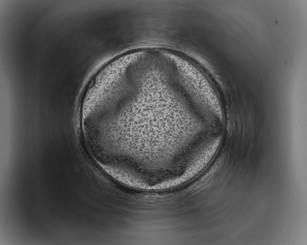 X0000094821366200712071237