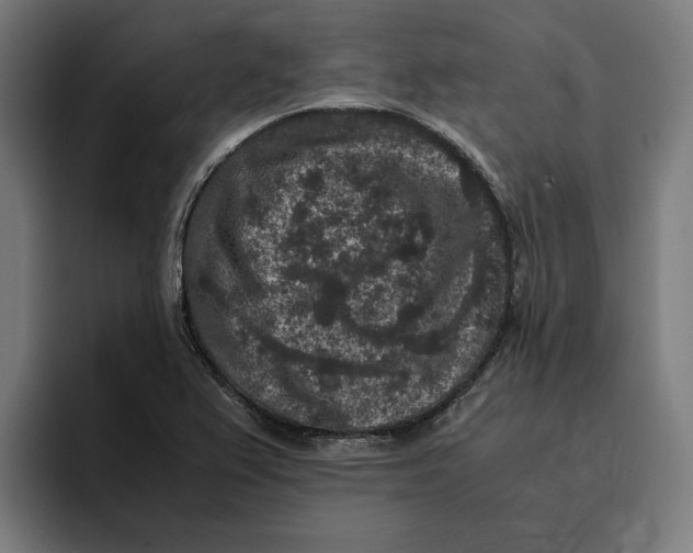 X0000094821367200712071237