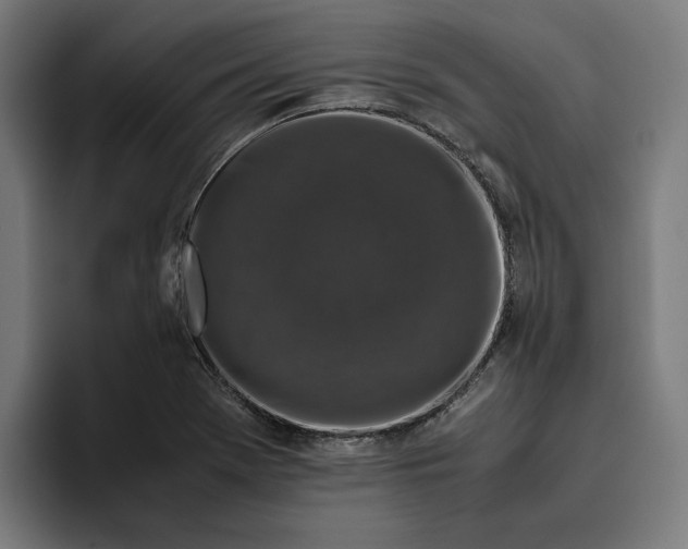 X0000094821369200712071237