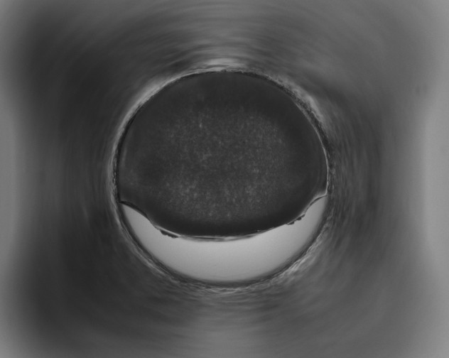 X0000094821373200712071237