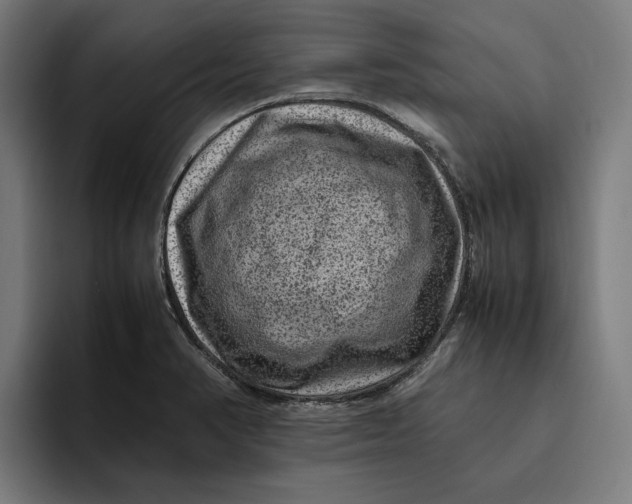 X0000094821374200712071237