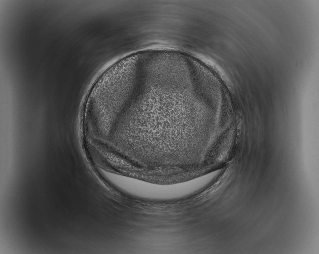 X0000094821375200712071237