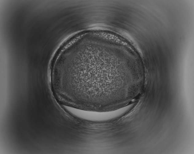 X0000094821376200712071237