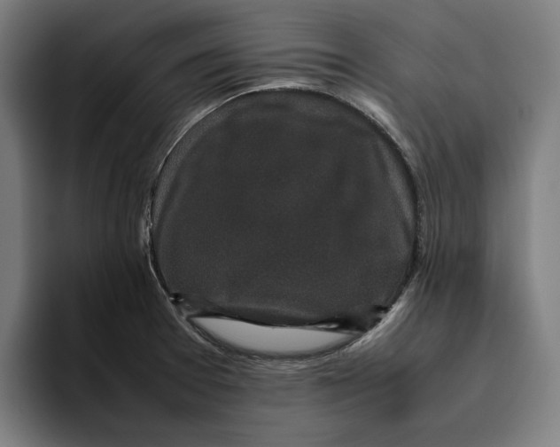 X0000094821377200712071237