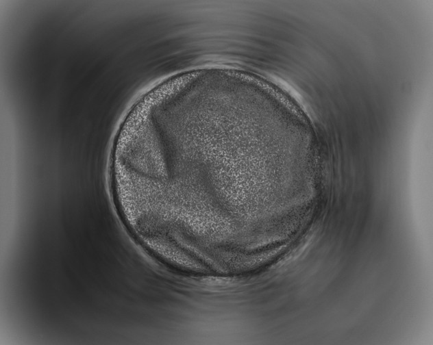 X0000094821379200712071237