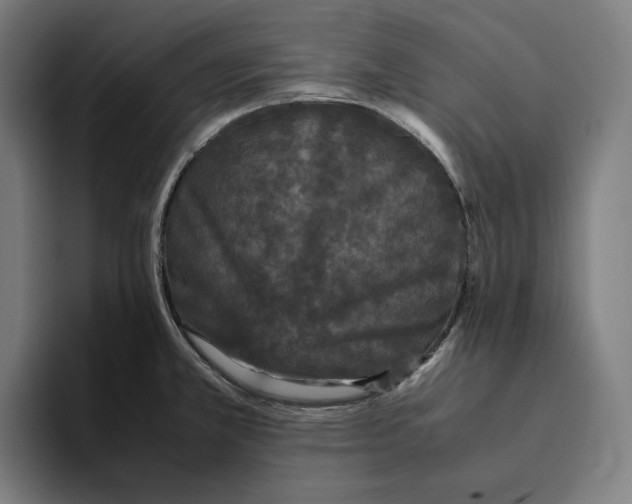 X0000094821381200712071237