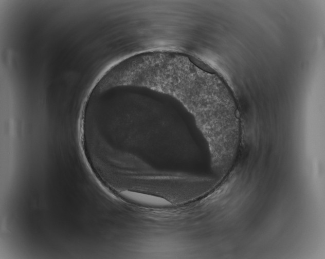 X0000094821383200712071237