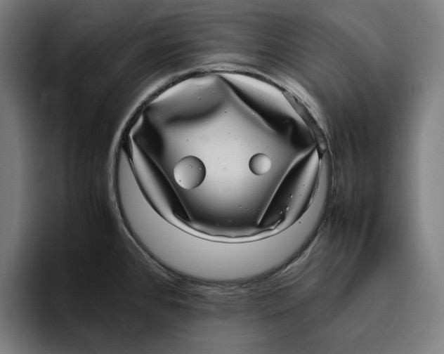 X0000094821384200712071237