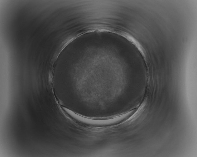 X0000094821385200712071237