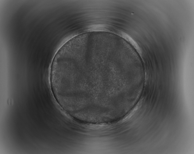 X0000094821386200712071237