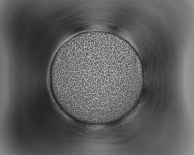 X0000094821387200712071237