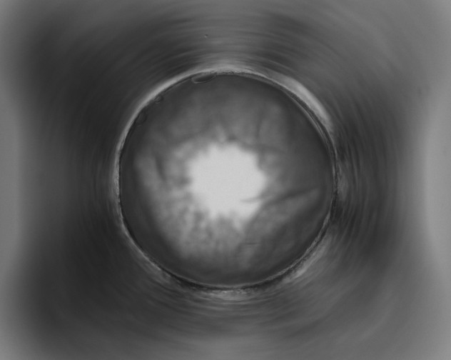 X0000094821388200712071237