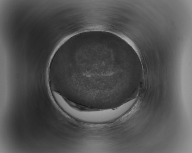 X0000094821389200712071237