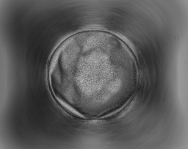 X0000094821390200712071237