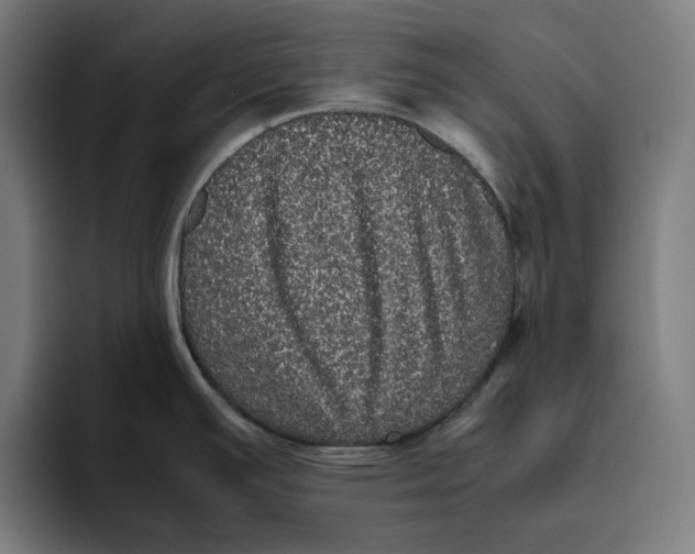 X0000094821391200712071237