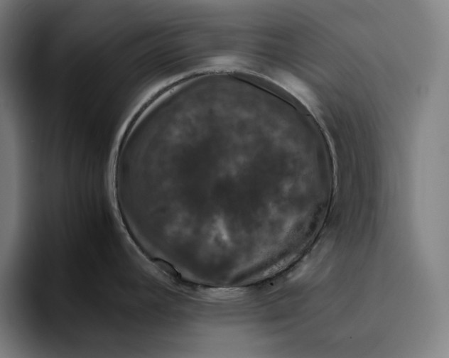 X0000094821392200712071237