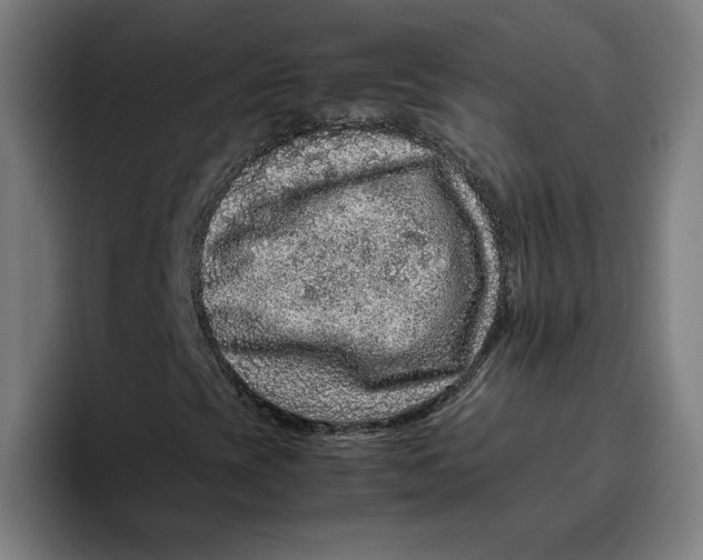 X0000094821393200712071236