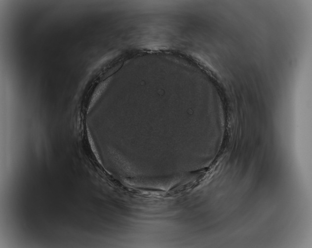 X0000094821398200712071236