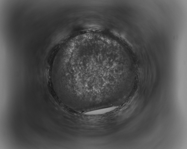 X0000094821399200712071236