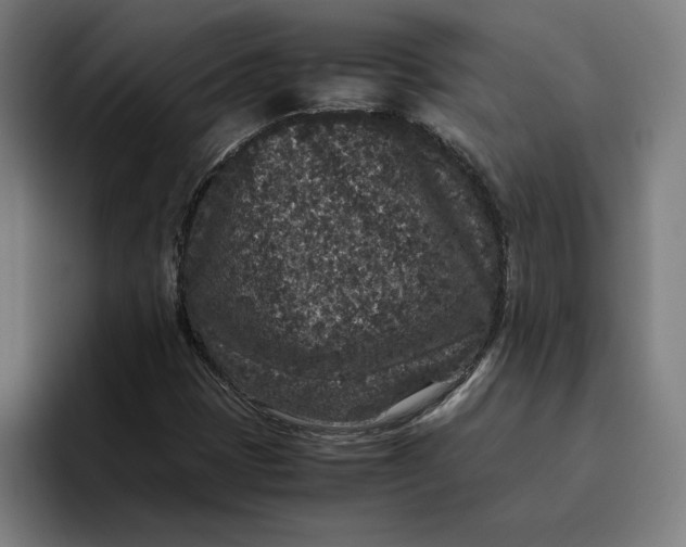 X0000094821401200712071236