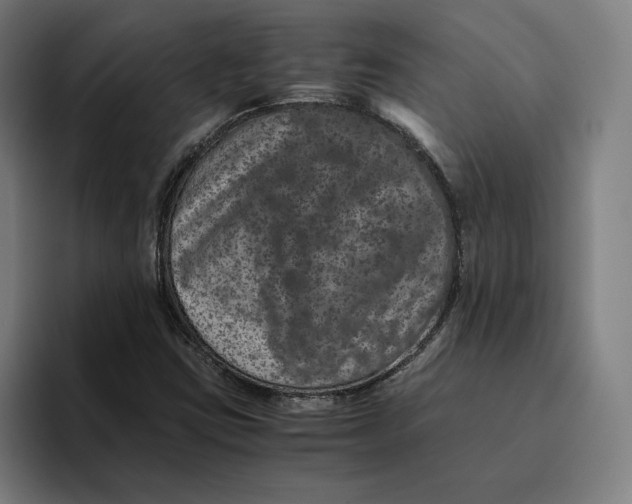 X0000094821403200712071236