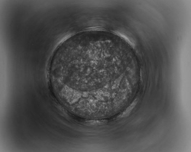 X0000094821405200712071236