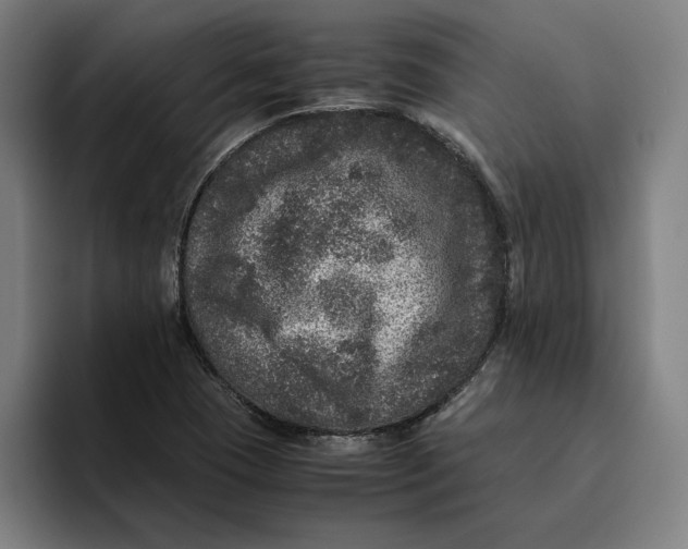 X0000094821409200712071236