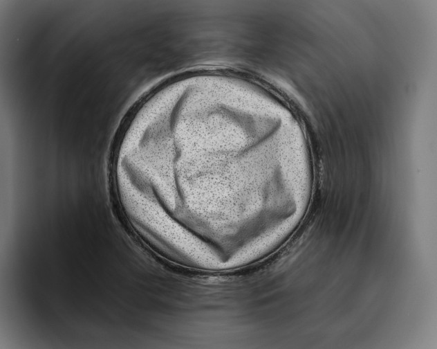 X0000094821412200712071236