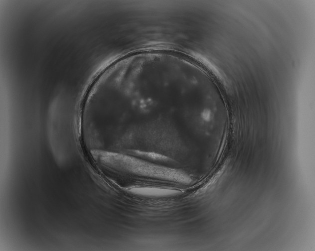 X0000094821413200712071236