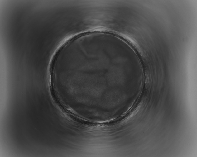 X0000094821414200712071236