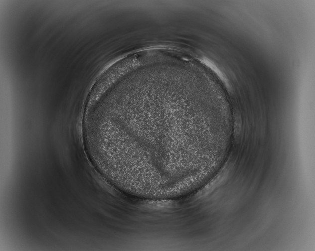 X0000094821417200712071236