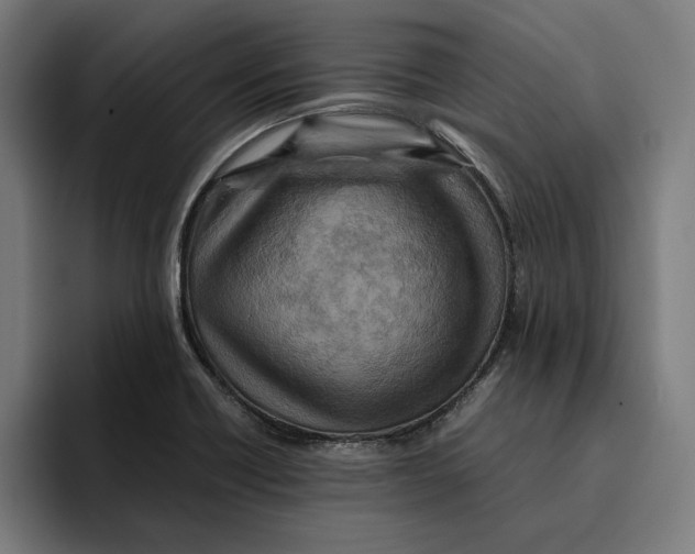 X0000094821418200712071236