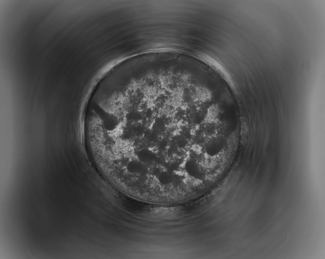 X0000094821419200712071237