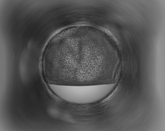 X0000094821421200712071237