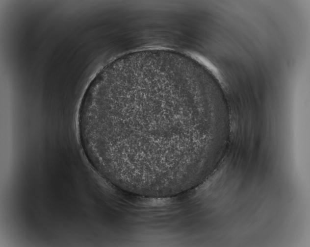 X0000094821423200712071237