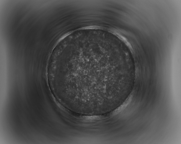 X0000094821425200712071237