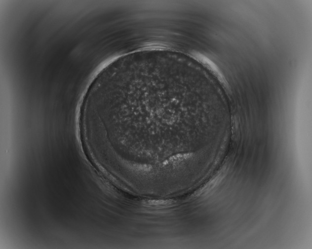 X0000094821427200712071237