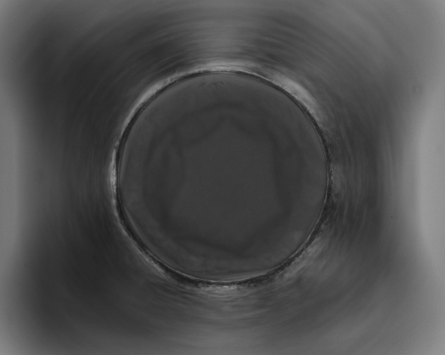 X0000094821428200712071237