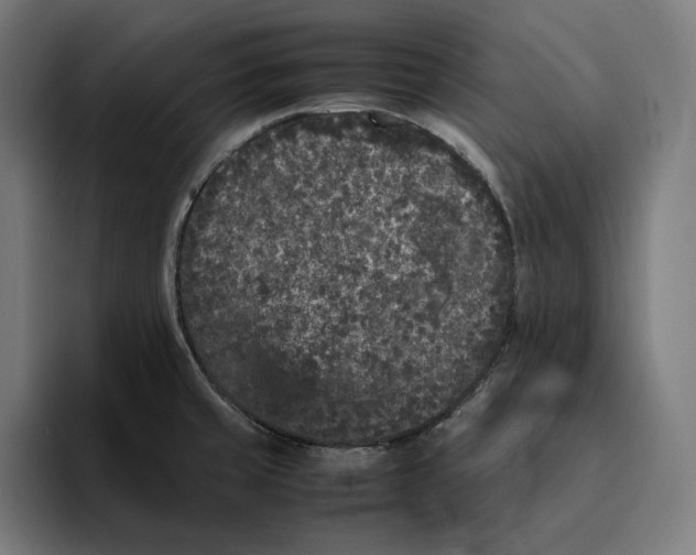 X0000094821429200712071237