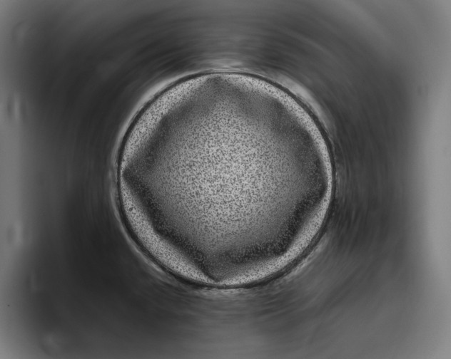 X0000094821432200712071237