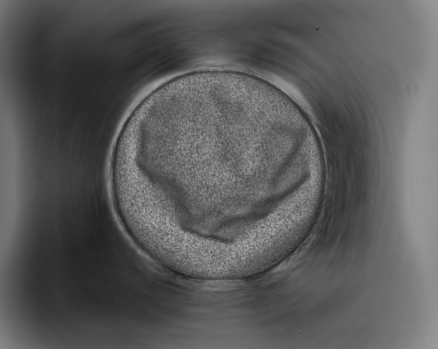 X0000094821440200712071237