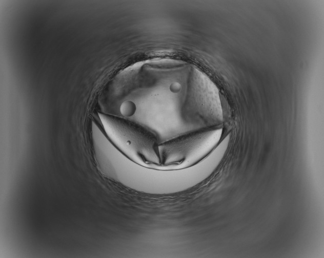 X0000094821441200712071236