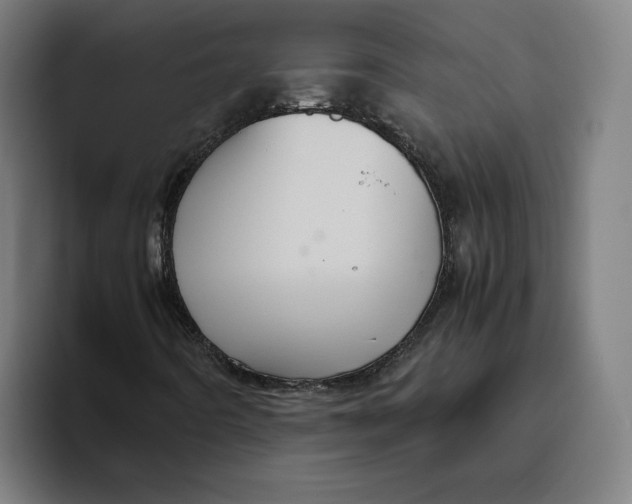 X0000094821442200712071236