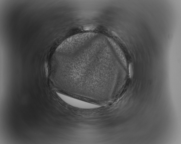 X0000094821443200712071236