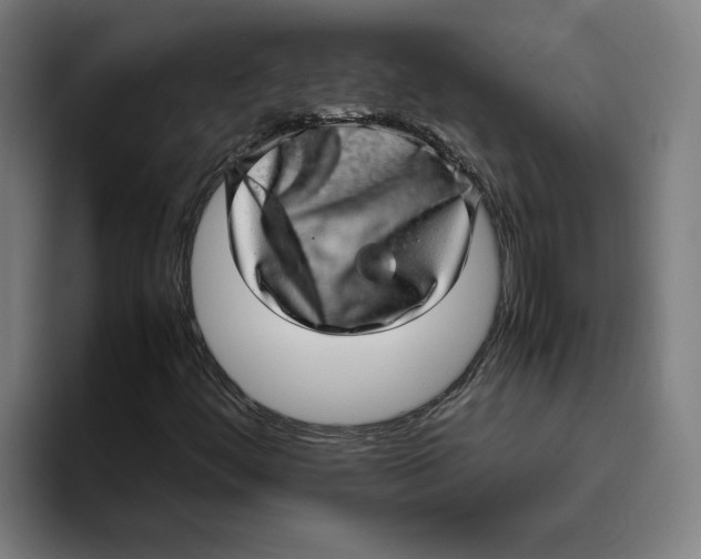 X0000094821444200712071236