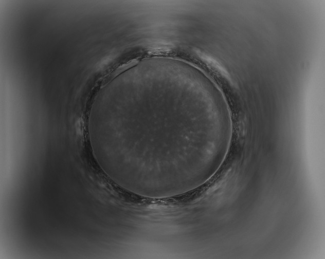 X0000094821445200712071236