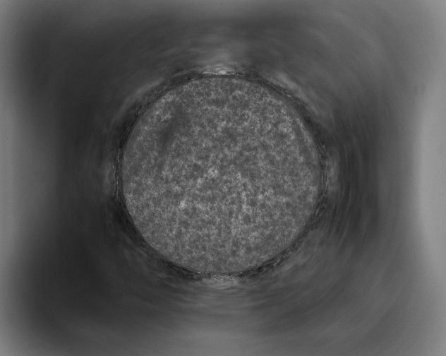 X0000094821446200712071236