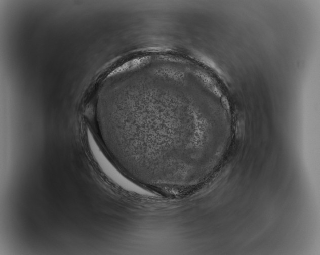 X0000094821448200712071236